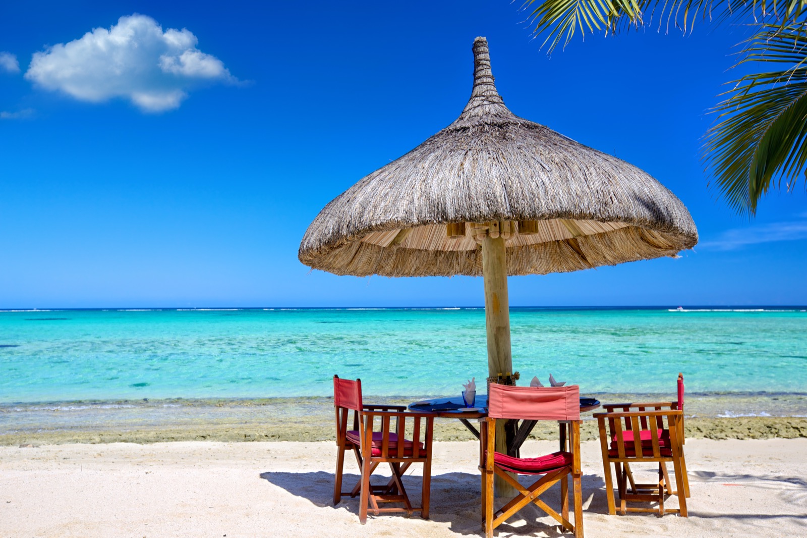 PADI Open Water Course