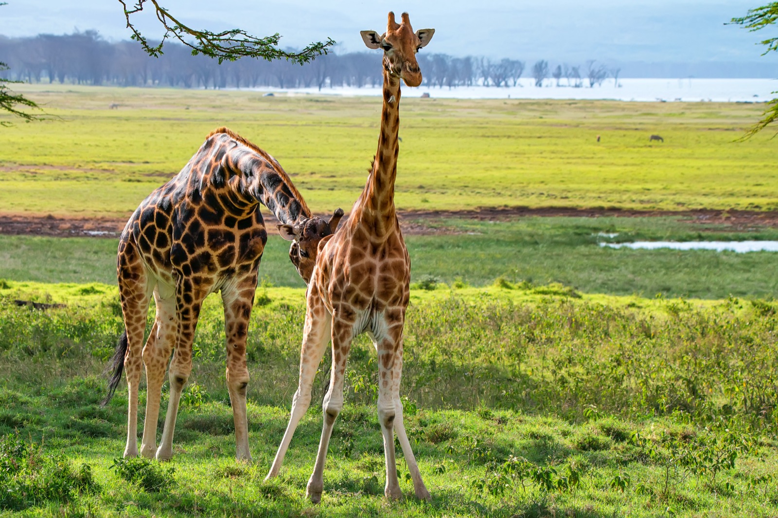 School Trips & Educational Travel